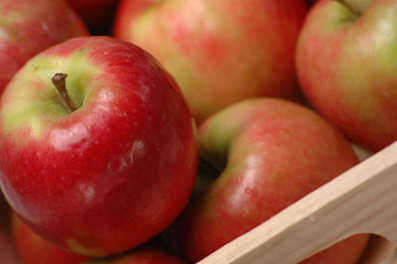 apple.jpg