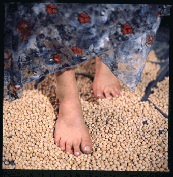 chickpeas.png